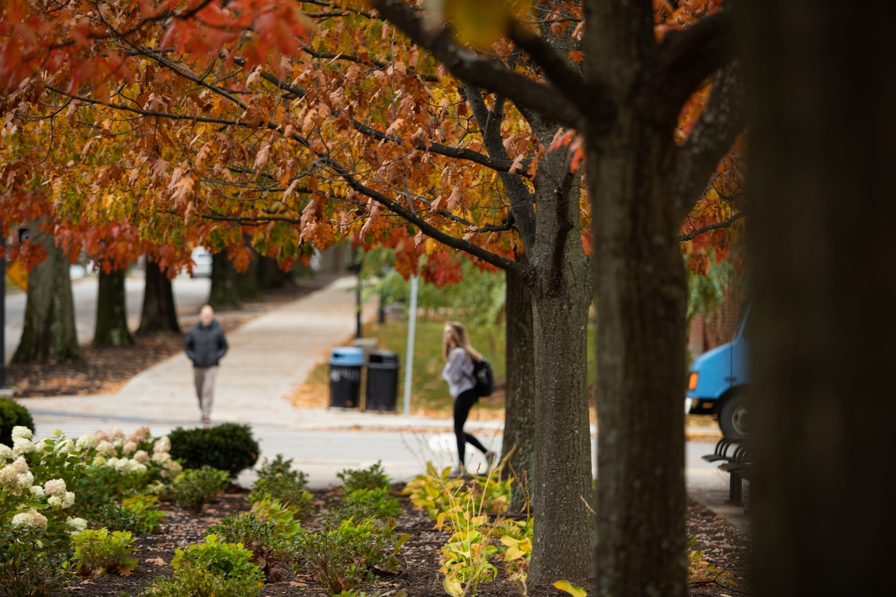 A walk through autumn